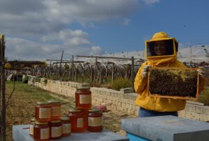 Apicultrice con api e miele
