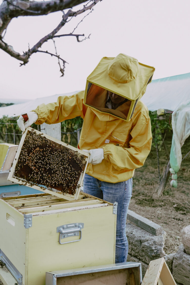 apicultore con api